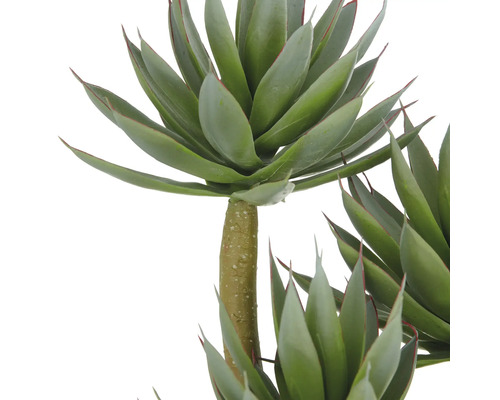 Konstgjord agave med gröna blad och brun stam