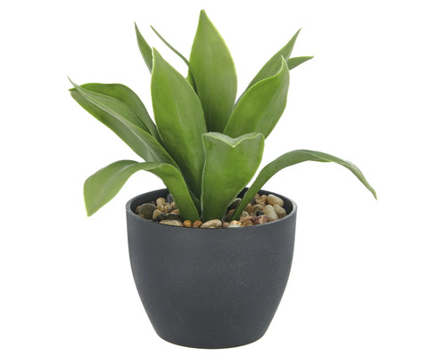Dekorativ konstgjord växt i en svart kruka med stenar.
