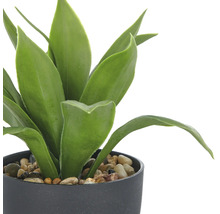 Konstgjord växt i kruka med stenar