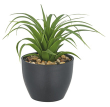 Konstväxt i kruka med stenar