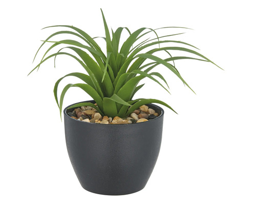 Konstväxt i kruka med stenar