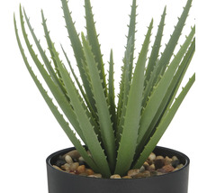 Konstgjord Aloe Vera växt i svart kruka med stenar