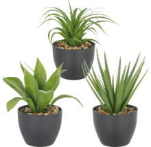 Tre konstgjorda krukväxter med olika bladformer i svarta krukor