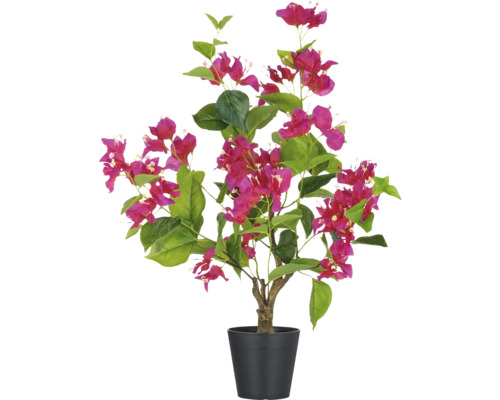Konstväxt Bougainvillea 68cm rosa i kruka
