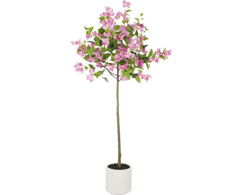 Konstväxt Bougainvillea uppstammad 150cm i kruka