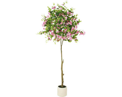 Konstväxt Bougainvillea uppstammad 240cm i kruka