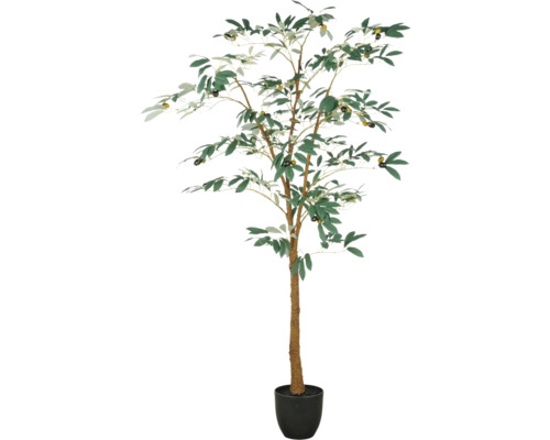 Konstväxt olivträd 160cm grön i kruka