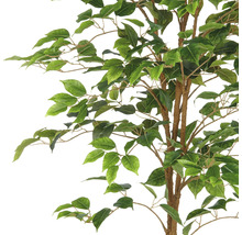 Närbild av ett konstgjort fikus träd med gröna blad och bruna grenar