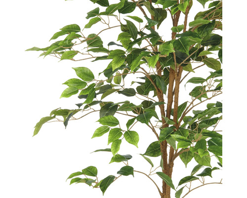 Närbild av ett konstgjort fikus träd med gröna blad och bruna grenar