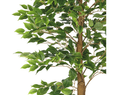 Detaljbild av ett konstgjort fikus med gröna blad.