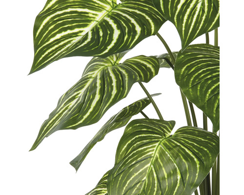 Konstgjord växt med stora, randiga blad