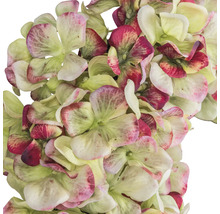 Närbild av konstgjorda hortensiablommor