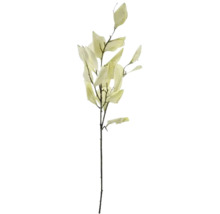 Dekorativ gren med blad för blomsterarrangemang