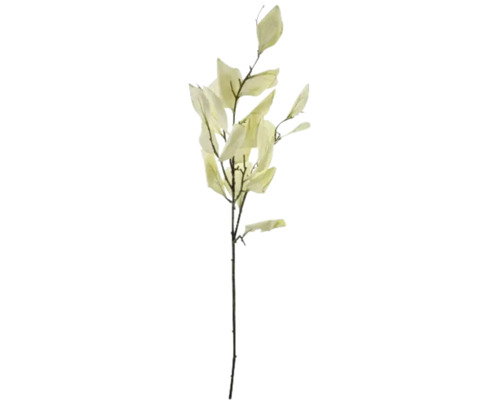 Dekorativ gren med blad för blomsterarrangemang