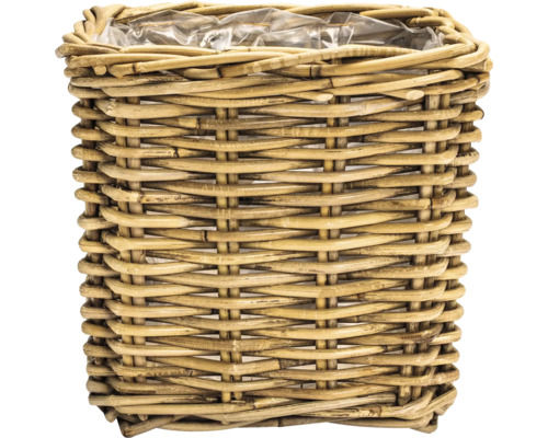 Blomkruka av vide med plastinsats