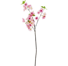 Dekorativt körsbärsblomstergren med rosa blommor och gröna blad.