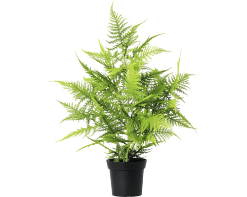 Konstgjord ormbunke i kruka som dekoration för inomhusbruk