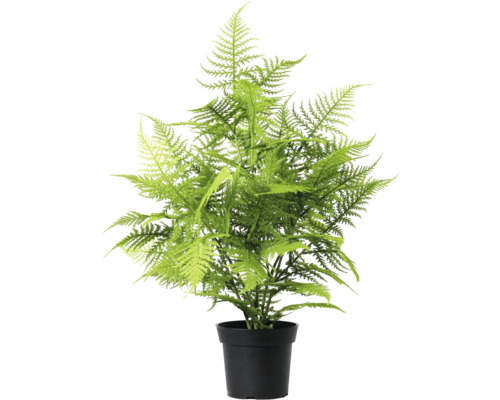 Konstgjord ormbunke i kruka