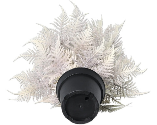 Konstväxt ormbunke i kruka