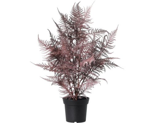 Konstgjord sparrisormbunke i svart kruka