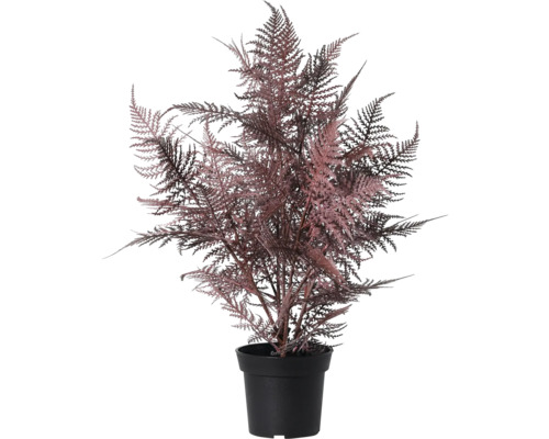 Konstgjord prydnadssparris i svart kruka