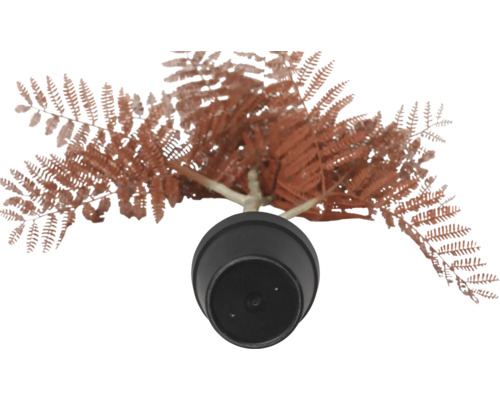 Konstgjord ormbunke i kruka, ovanifrån