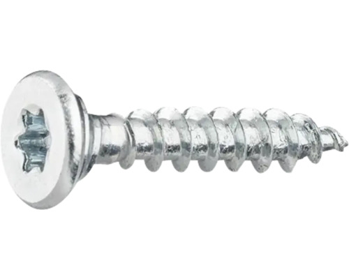 Metallskruv med Torx-drift