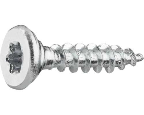 Metallskruv med Torx-drift