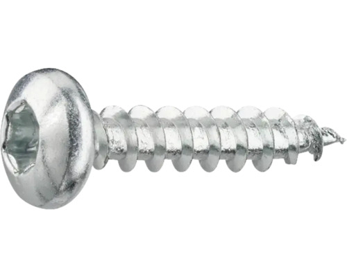 Metallskruv med linshuvud och inre sexkant