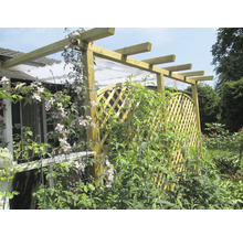 Träpergola med klätterväxter i trädgården