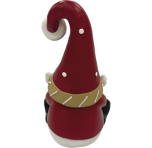 Julig trädgårdstomte med mössa