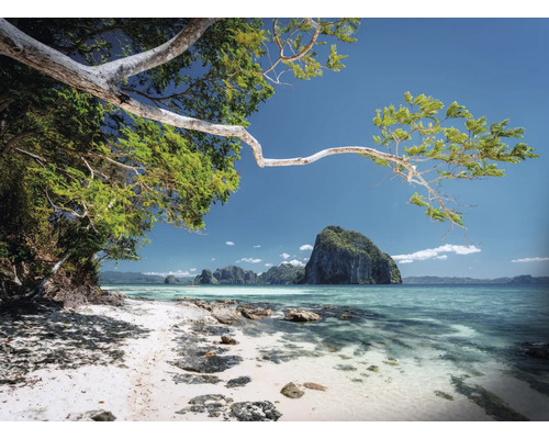 Canvastavla THE WALL Träd vid havet 56x76cm Landskap med tropisk strand, klippor och blå himmel