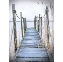 Träbrygga med rep och vass vid vattnet