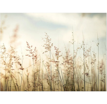 Närbild av prydnadsgräs i trädgården