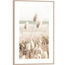 Inramad bild med harört på ett kustlandskap