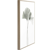 Inramad bild med ginkgoblad