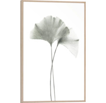 Inramad bild med två ginkgoblad som motiv