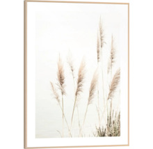 Inramad bild med dekorativt vassgräs