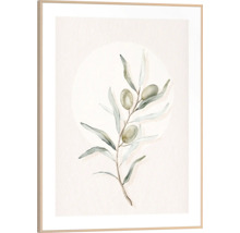 Inramad väggbild med olivkvist