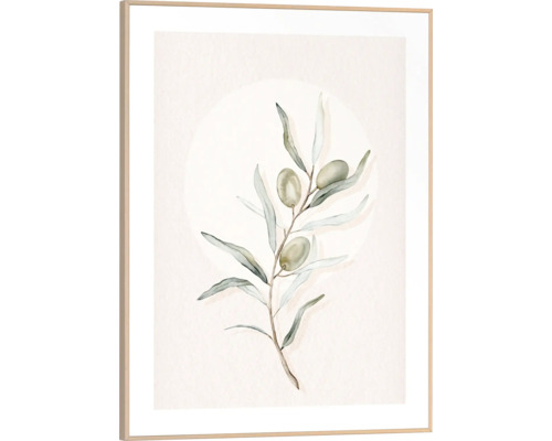 Inramad väggbild med olivkvist