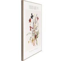 Inramad herbarium växtbild för väggen