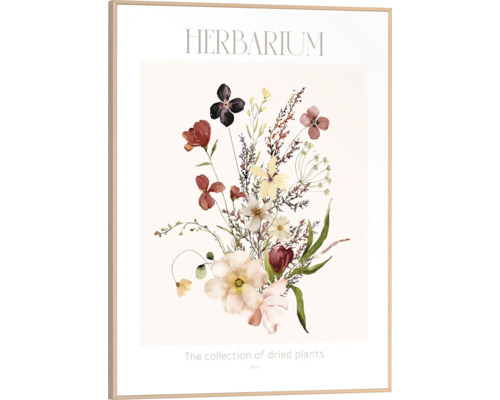 Inramad herbariumplansch med illustration av torkade blommor