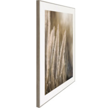 Inramad bild med pampasgräsmotiv för väggdekoration