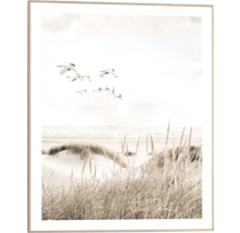 Inramad bild med tranor som flyger över ett kustlandskap