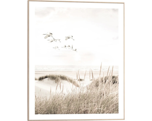 Inramad bild med tranor som flyger över ett kustlandskap