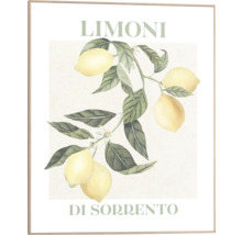 Inramad bild med citronmotiv och texten Limoni Di Sorrento