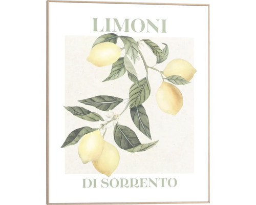 Inramad bild med citronmotiv och texten Limoni Di Sorrento