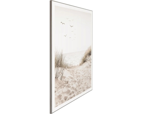 Inramad bild med strandmotiv, visar sand, gräs och flygande fåglar