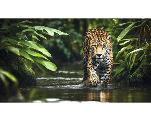 En jaguar korsar en flod, omgiven av tropisk vegetation