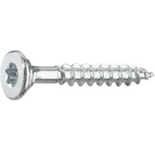 Träskruv med Torx-drivning